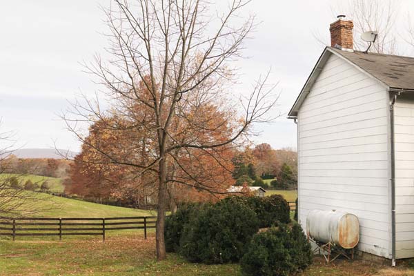 home oil tank