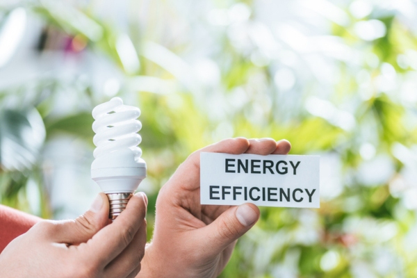 Cropped view of man holding LED light and card saying energy efficiency