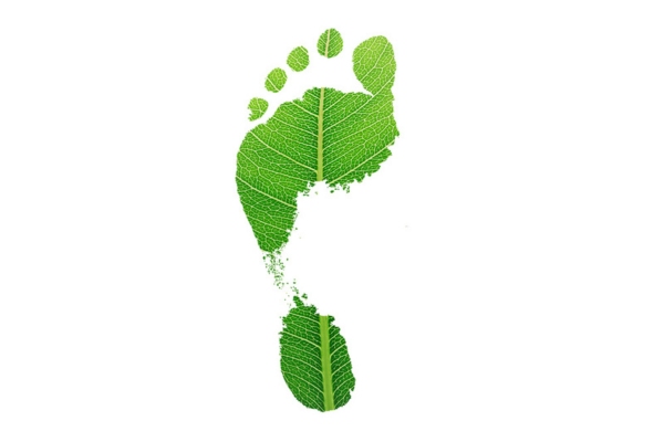 footprint made of leaf depicting Reducing Environmental Impact